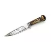 Нож охотничий Columbia FB696 / 29см / 14см