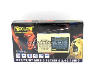 Радиоприёмник Golon RX-BT6622/ Аккумуляторный/ USB/ SD/